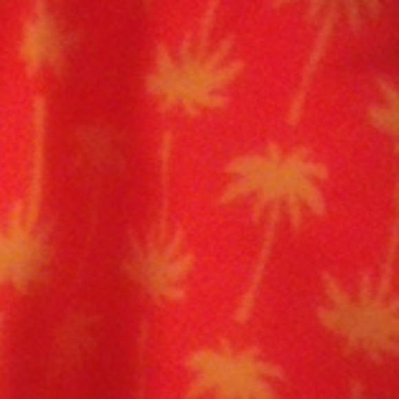 Shorts - Picture 2 of 3